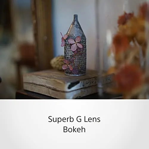 Sony FE 50mm F2.5 G 3