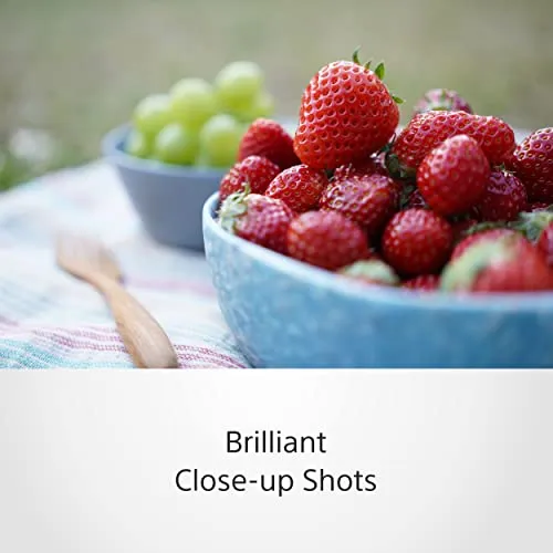 Sony FE 50mm F2.5 G 4