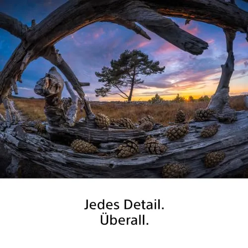 Sony FE 8-14mm F3.5 Fisheye G 4