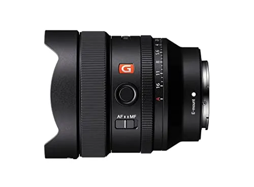 Sony SEL14F18GM 4