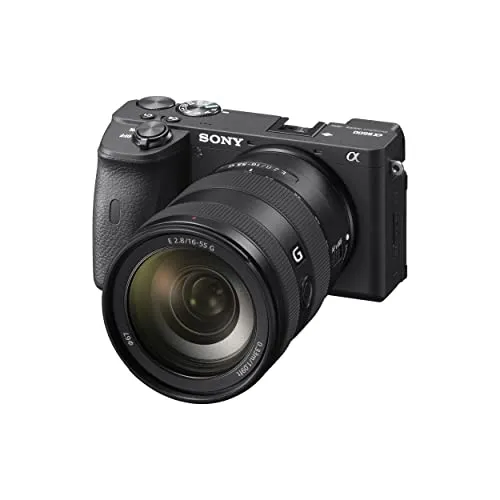 Sony SEL1655G 2