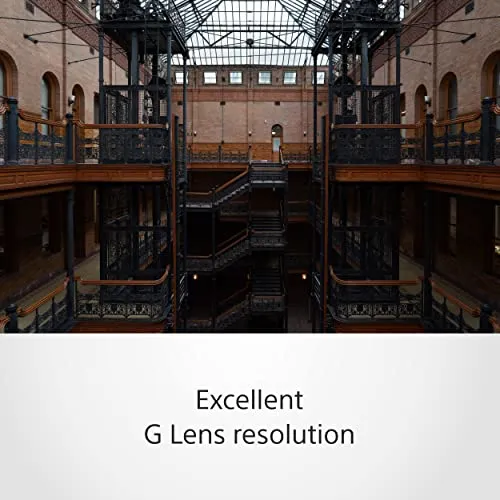 Sony SEL1655G 3