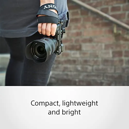 Sony SEL1655G 5