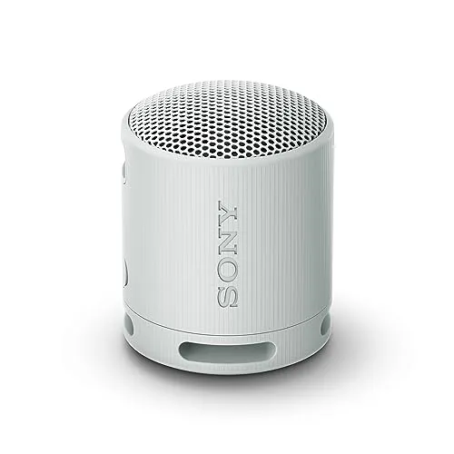 Sony SRS-XB100