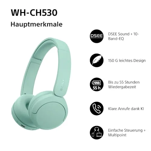 Sony WH-CH530 2