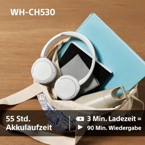 Sony WH-CH530 3