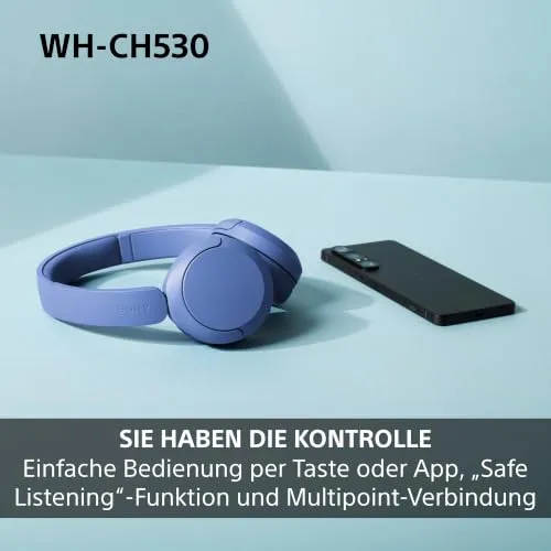 Sony WH-CH530 4