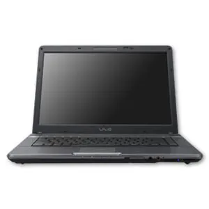 Sony Vaio FE41M