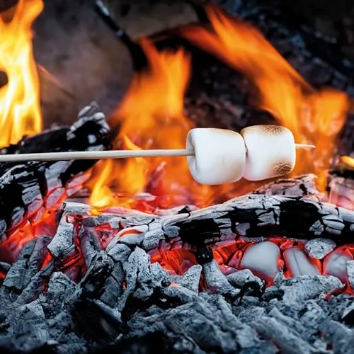 Spetebo Holz Lagerfeuer Spieß 4