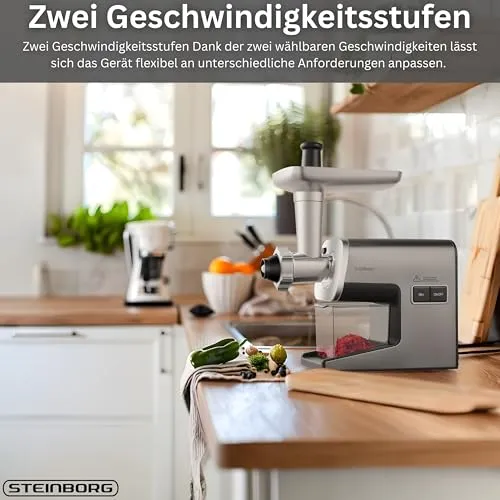 Steinborg Fleischwolf Max 2