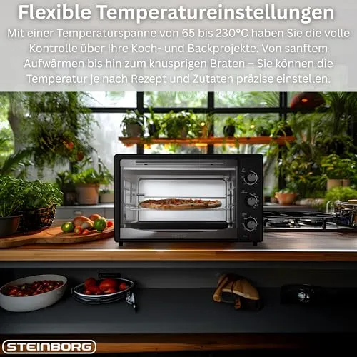 Steinborg Mini Backofen 2
