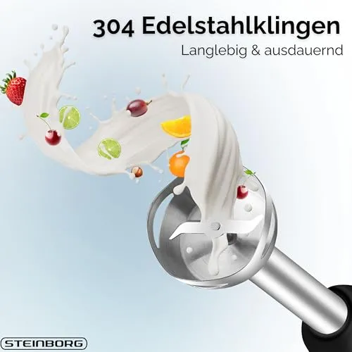 Steinborg Stabmixer 3