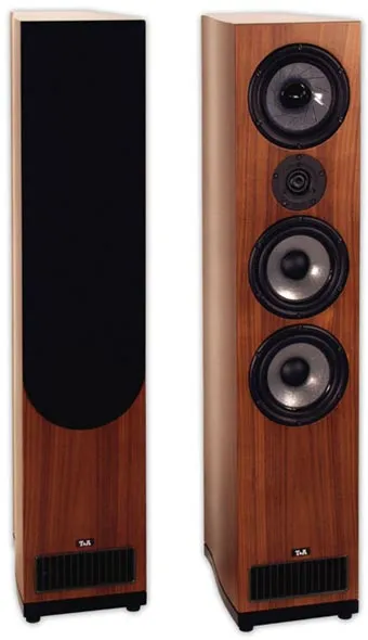 T+A Criterion TS 300