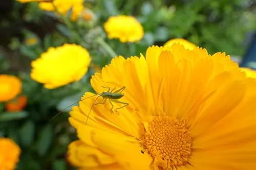 TAMRON 11-20mm f/2.8 Di III-A VC RXD 5