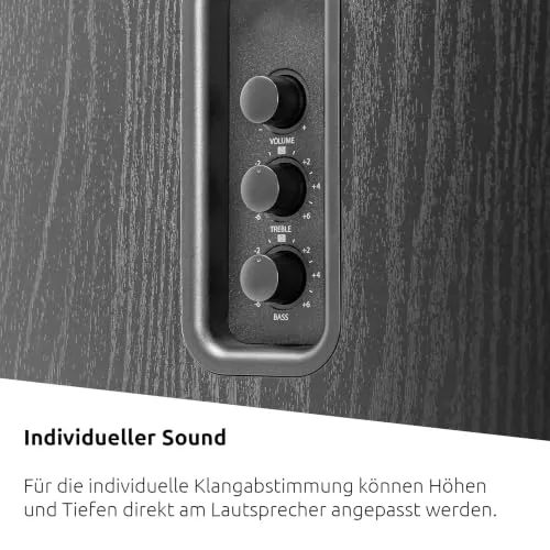 TechniSat AUDIOMASTER RLS 1 3