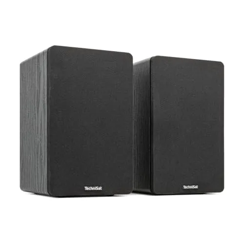 TechniSat AUDIOMASTER RLS 1