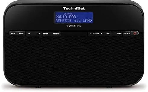 TechniSat DigitRadio 250