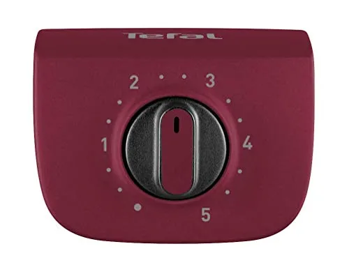 Tefal Easygrill BG90F5 7