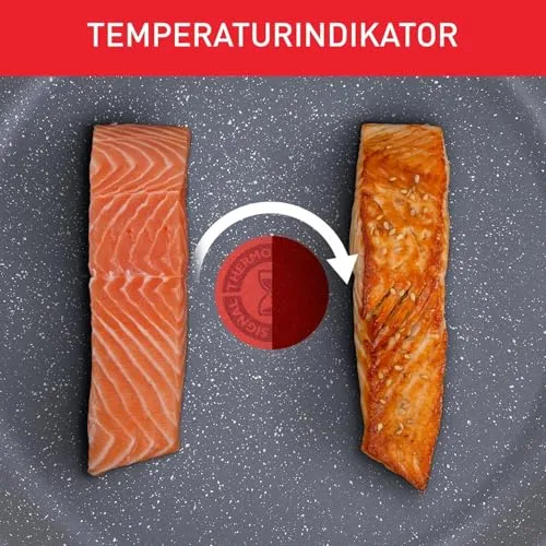 Tefal Healthy Chef 4