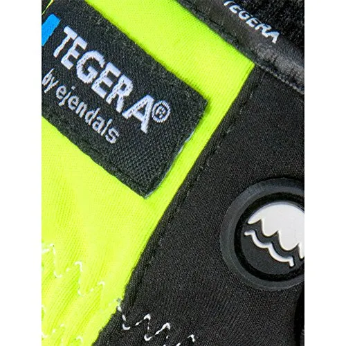 Tegera 293 2