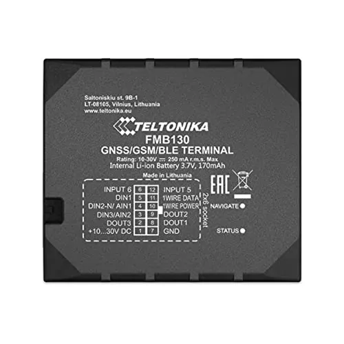 Teltonika FMB130 3