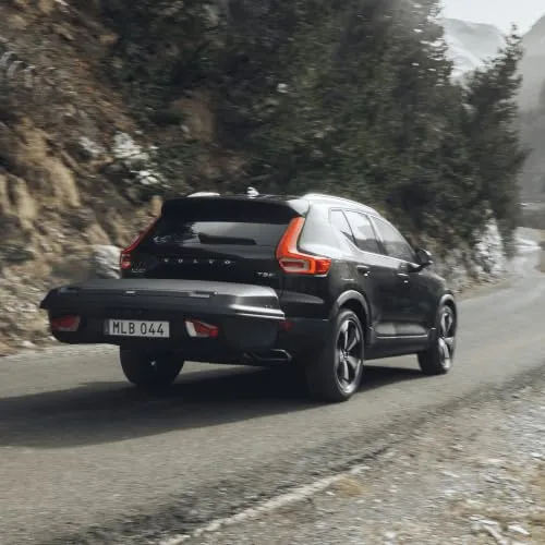 Thule Arcos L 5