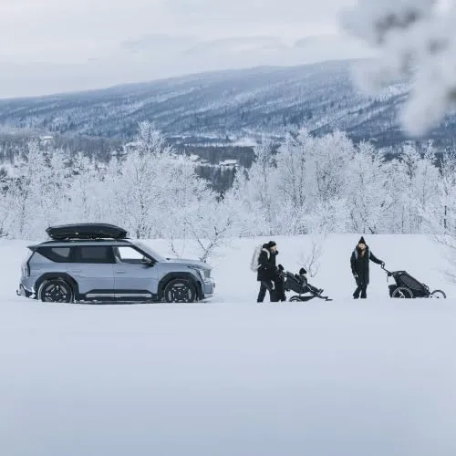 Thule Motion 3 XL Low 6
