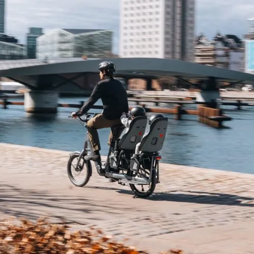 Thule Yepp Nexxt 2 4