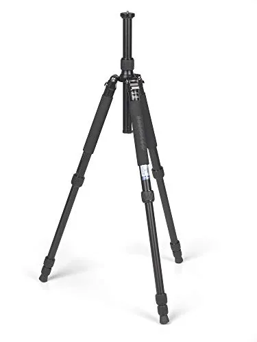 254