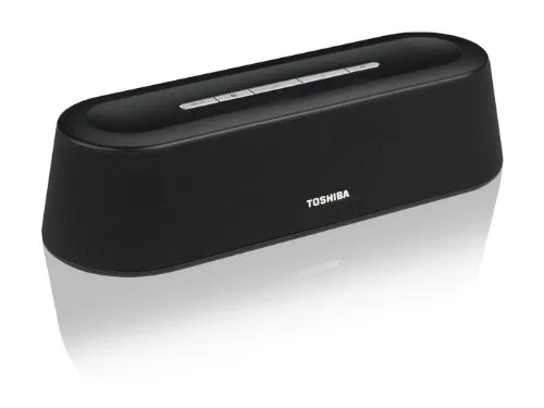 Toshiba SBM1W 6