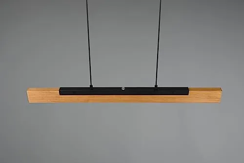 Trio Leuchten Kerala 5