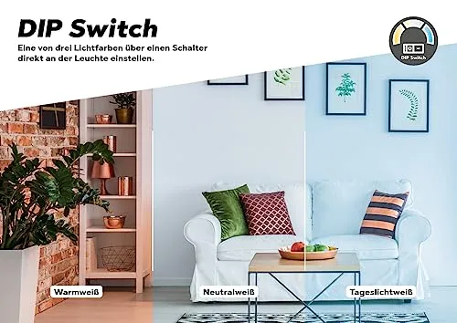 Trio Leuchten Nuria 326210132 5