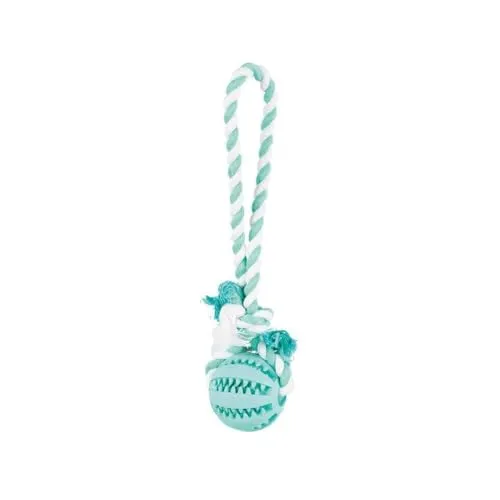 Fun Ball