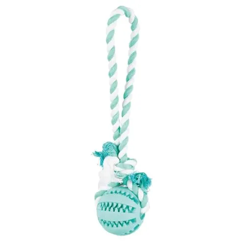 Trixie Denta Fun Ball 4