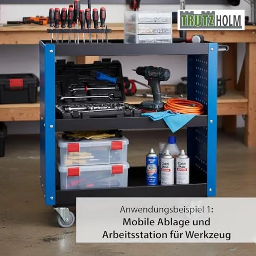 TRUTZHOLM Werkstattwagen 6