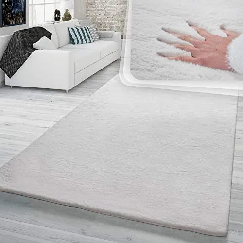 TT Home Shaggy 4