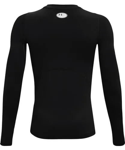 UA HG Armour LS 2