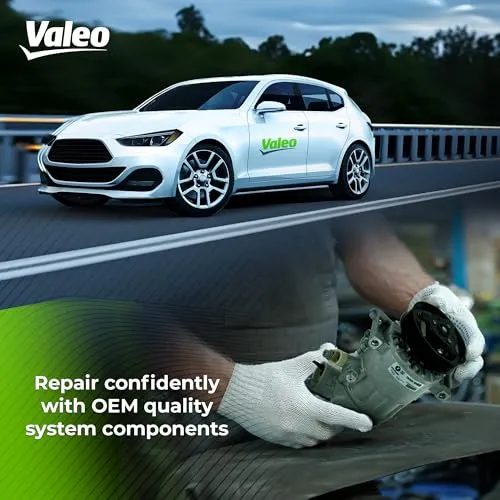 Valeo 699376 5