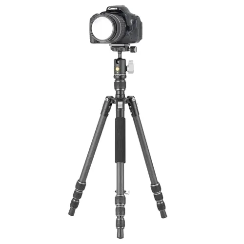 Vanguard Vesta Go 204CB 2