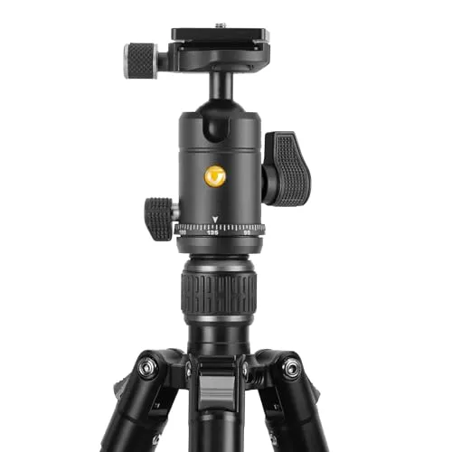 Vanguard Vesta Go 264AB 3