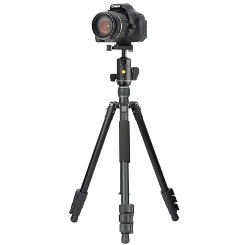 Vanguard Vesta Go 264AB 6
