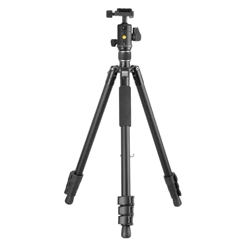 Vanguard Vesta Go 264AB