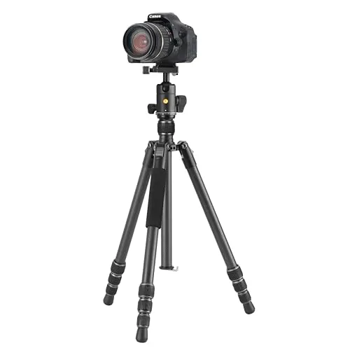 Vanguard Vesta GO 264CB 2