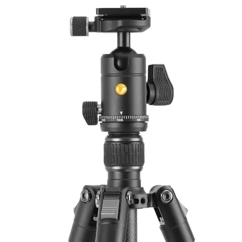 Vanguard Vesta GO 264CB 4
