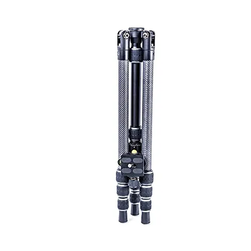 Vanguard Vesta TB 204CB 3