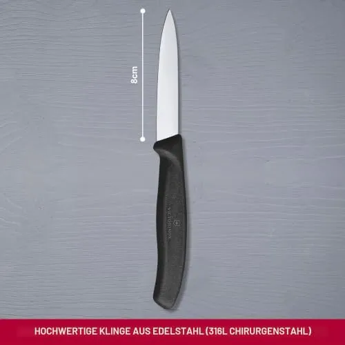 Victorinox 6.7603 2