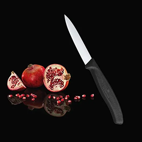 Victorinox 6.7603 5