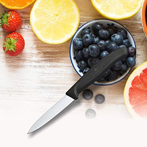 Victorinox 6.7603 6