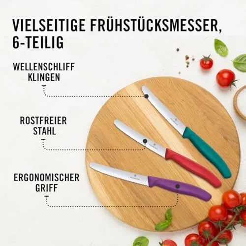 Victorinox Swiss Classic 3