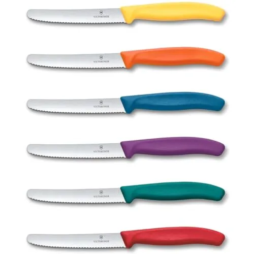 Victorinox Swiss Classic 2